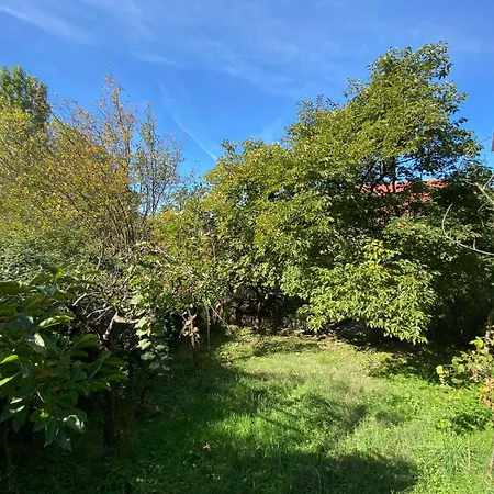 Hidden Gem Villa